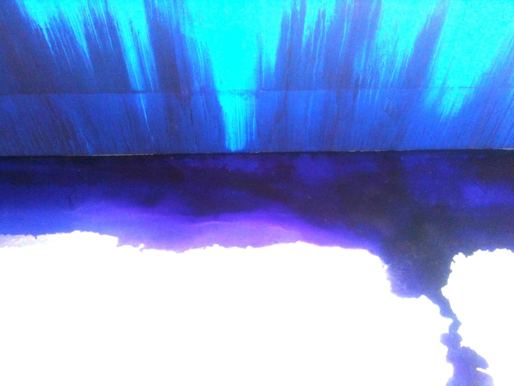 Blu, picture by Diana Marrone Blu, picture by Diana Marrone