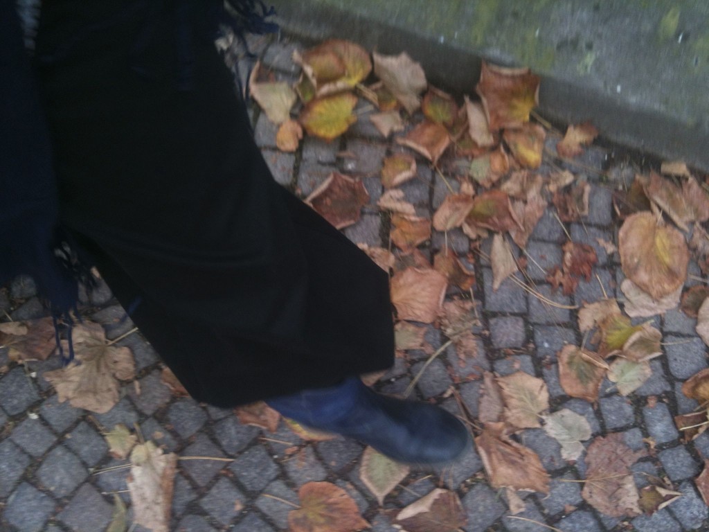 Walking and leaves